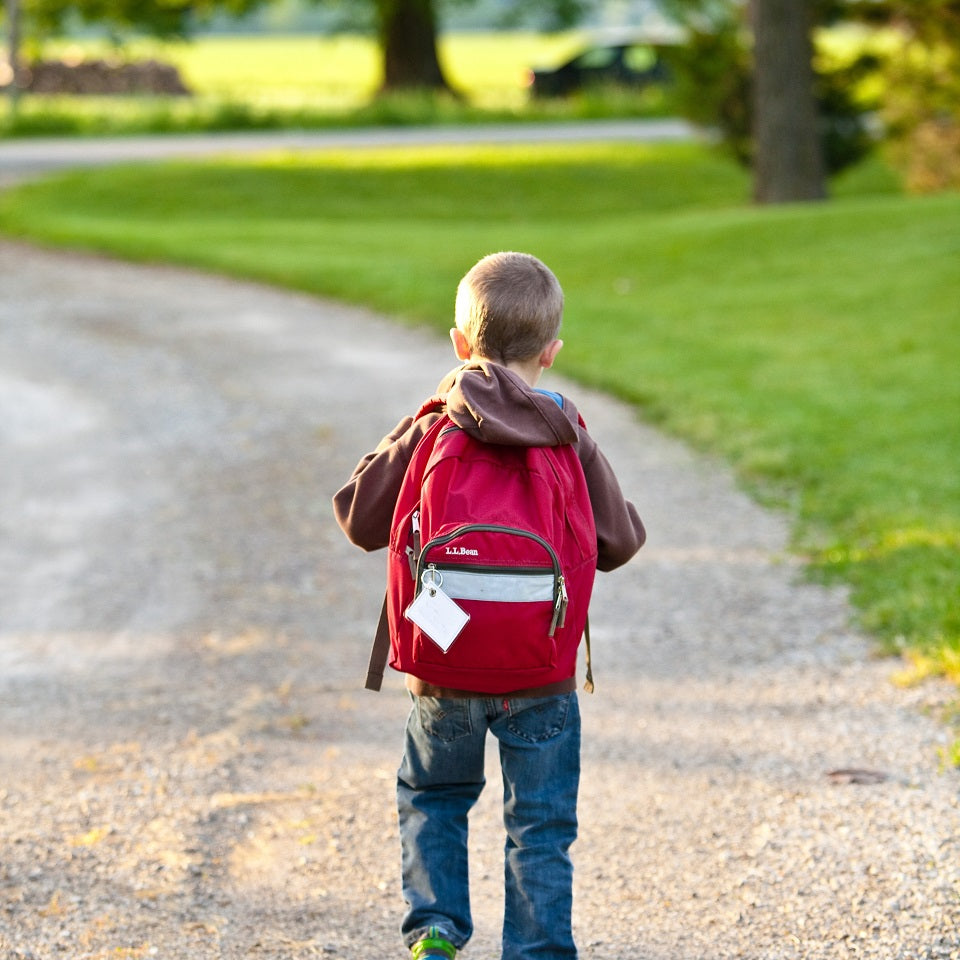 Meu filho vai para a escola, e agora?